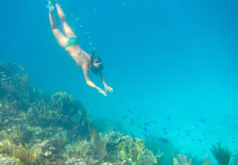 Free diving in one of abaco's protected reefs