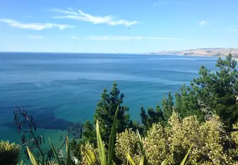 Hawke's Bay field course 