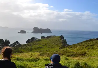 Coromandel 