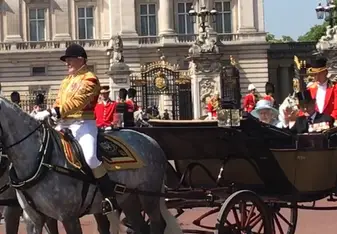 horse and carriage 