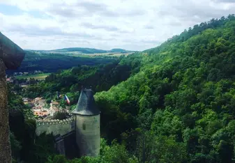 view of castle and greenery