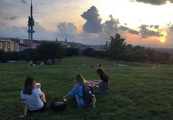 sitting in grass at sunset