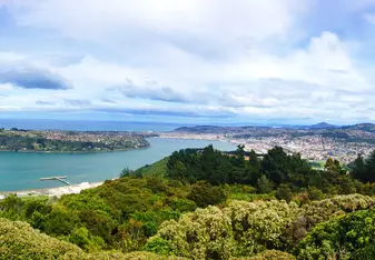 coastal views in New Zealand