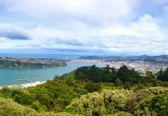 coastal views in New Zealand