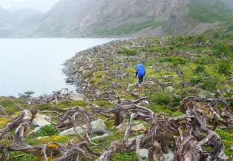 man hiking in foggy mountains