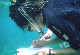 This was at Koh Tao doing our marine course. Collected so much data and learned so much from the staff. 