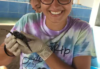 sea turtle conservatory 