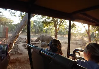 black rhino on game drive