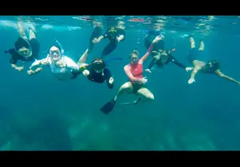 free diving in Koh Tao
