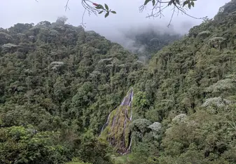 Las Termales de Santa Rosa 