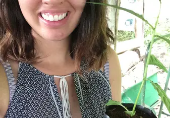Reforestation 