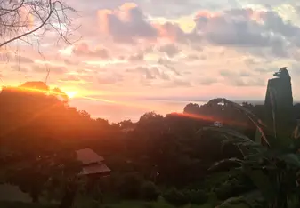 The view!