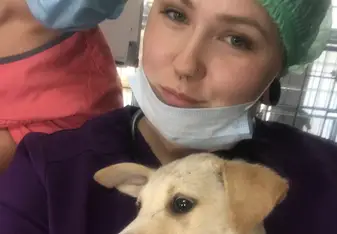 Preparing a pup for his Neuter Surgery