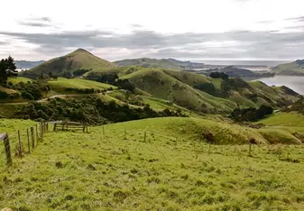rolling green hills on coast