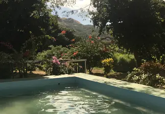 The Hot Spring baths in Nadi