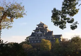 Castle