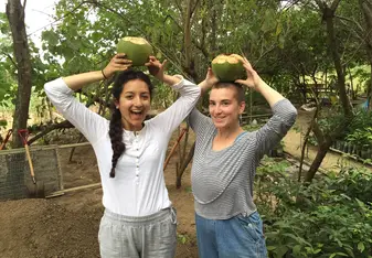 Cut open fresh coconuts and then planted orange tree seedlings after we drank all of them contents.