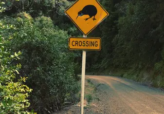 kiwi crossing sign