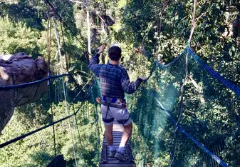 Canopy walking in the Amazon