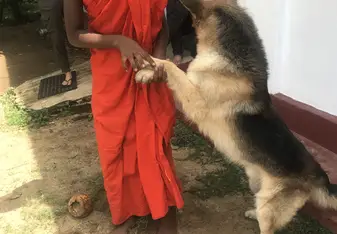 Teaching