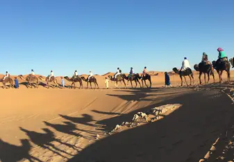 Sahara visit