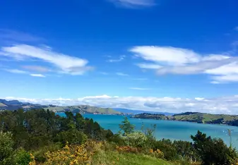 Coromandel 