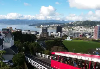 View of Wellington
