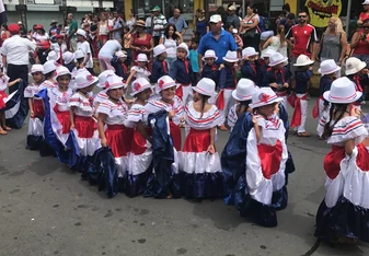 Lively Culture