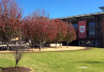 beautiful view of Parramatta South Campus