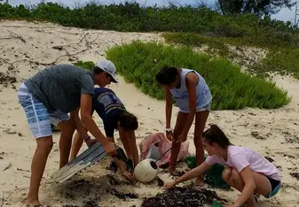 beach cleanup