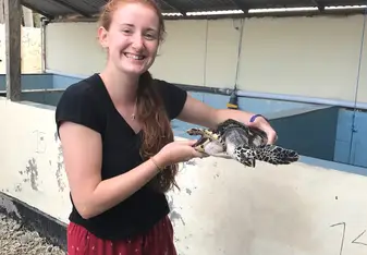 Working with the gorgeous turtles 