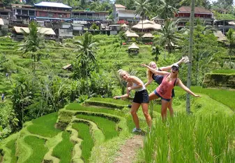Rice terraces