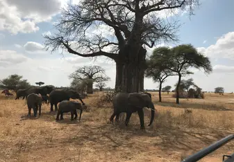 Weekends are off! Which means SAFARI time! - Magical experience x 