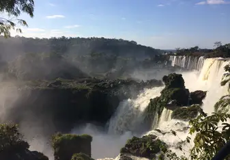 waterfall and greenery