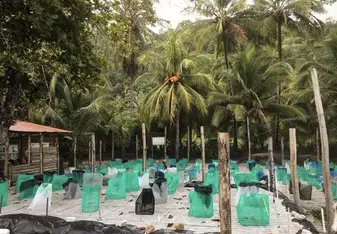 Costa Rica