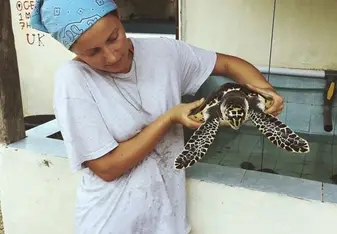 Turtle conservation