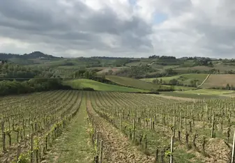 Wine tour! 