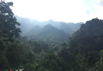 Mid-Trek Views of the Guatemalan Jungle