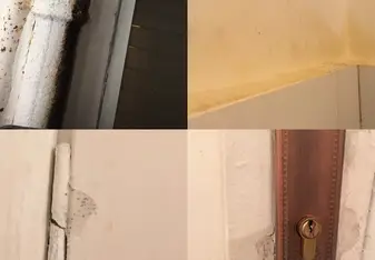 Mold in our apartment
