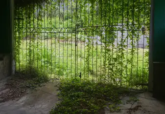 gate