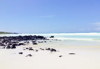 Galápagos Islands !