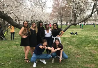 Cherry Blossom Festival 2017