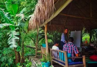 Teaching in the Jungle!