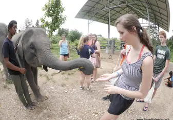 Feeding An Elephant in Chiang Mai