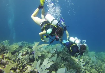 An underwater image of someone scuba diving.