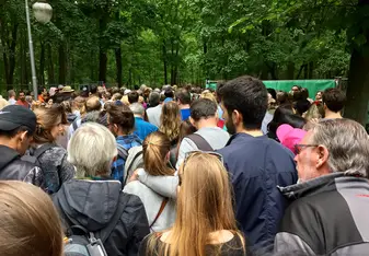 crowd of people in forest