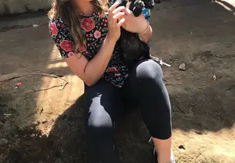 Dog Shelter