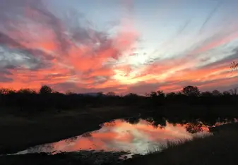 African sunset 