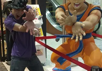 Japan Picutre
