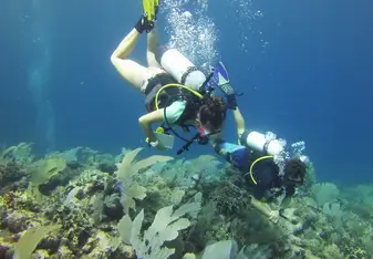two people diving